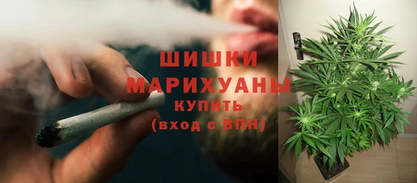 трава Алексин