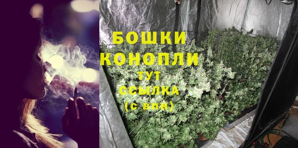 шишки Алзамай