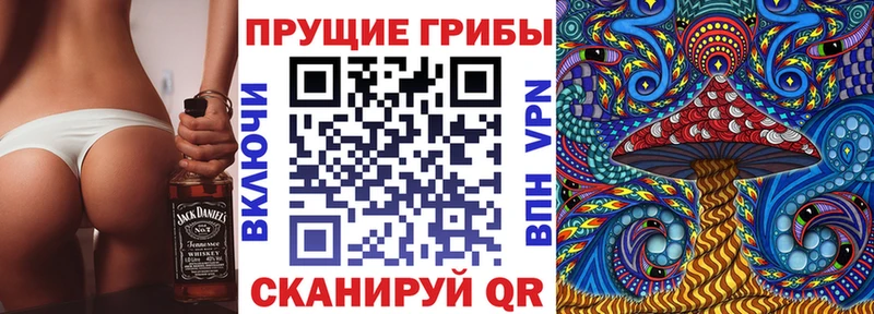 kraken как зайти Пущино darknet состав Псилоцибиновые грибы мицелий